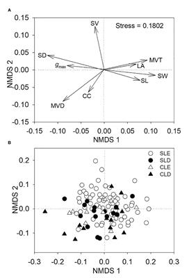 Effect of leaf phenology and morphology on the coordination between stomatal and minor vein densities